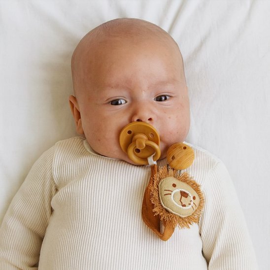 Attache tetine | lion stylé 